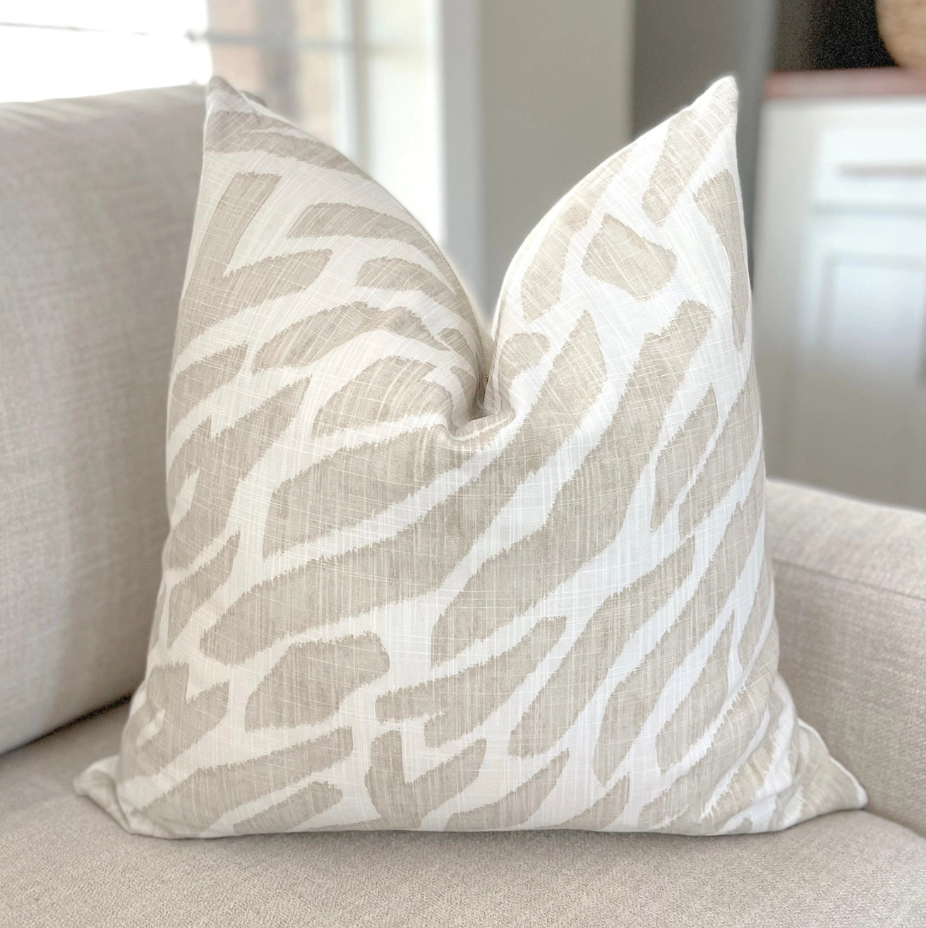 Posh Zebra Print Pillow - Set of 2